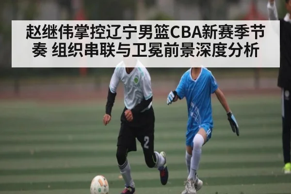 赵继伟掌控辽宁男篮CBA新赛季节奏 组织串联与卫冕前景深度分析
